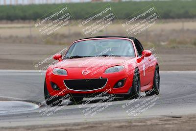 media/Jul-31-2022-Speed Ventures (Sun) [[bfb4b6530b]]/Black Group/Grapevine/